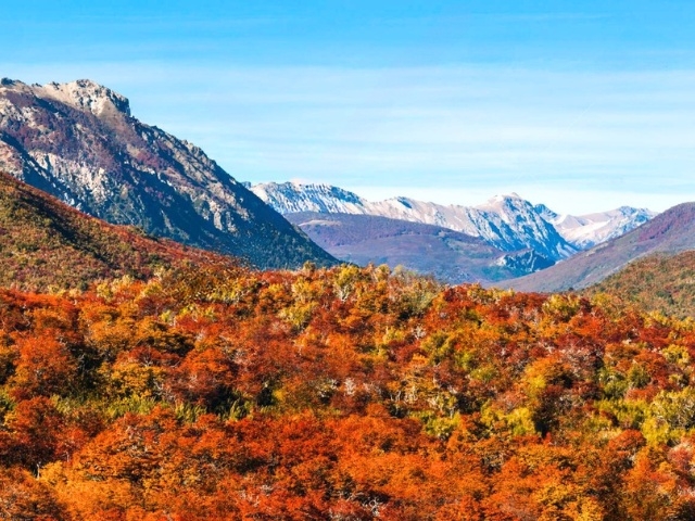 COLORES DE OTOÑO EN PATAGONIA  