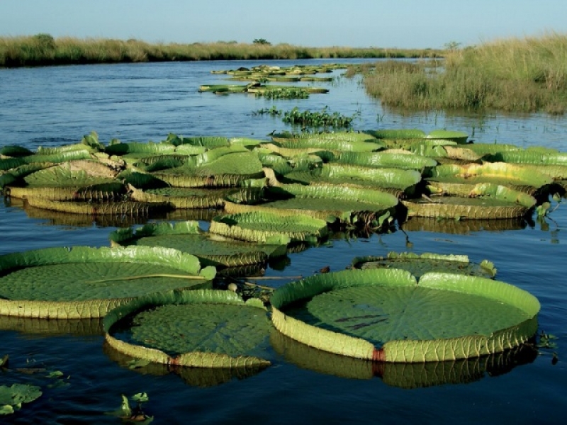 Maravillas del Litoral 