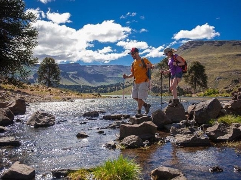 Patagonia Alta