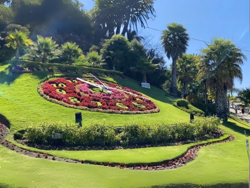 Mendoza + Viña del Mar 