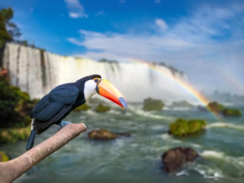 Cataratas del Iguazú 