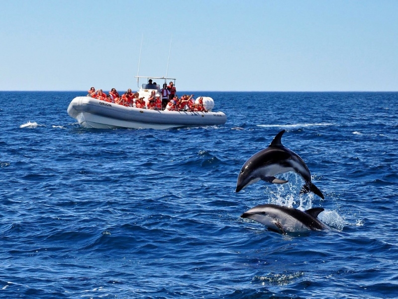 PUERTO MADRYN 