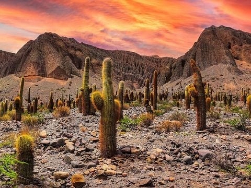 Salta en Semana Santa